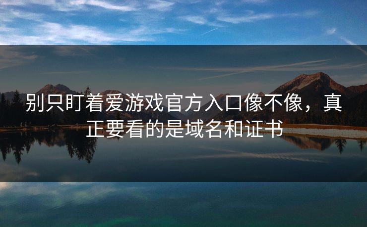 别只盯着爱游戏官方入口像不像，真正要看的是域名和证书