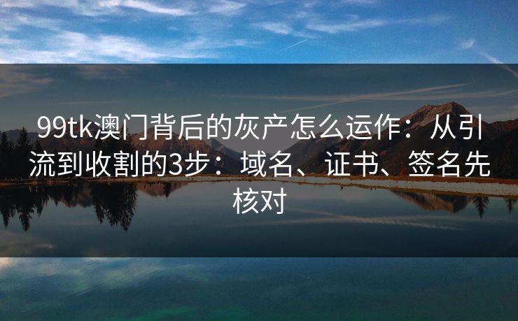 99tk澳门背后的灰产怎么运作:从引流到收割的3步:域名、证书、签名先核对